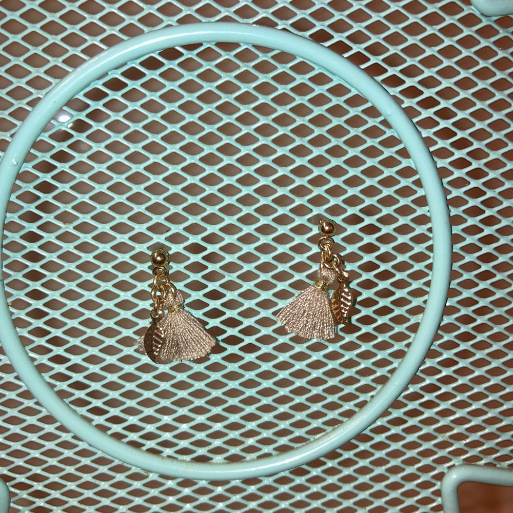 tassel and feather earrings!!